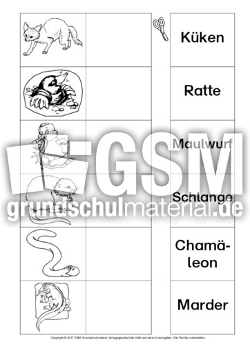 AB-Tiere-Zuordnung 11.pdf